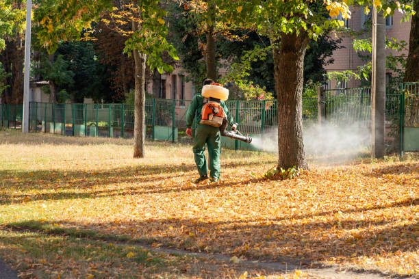 Laguna Niguel, CA Pest Control Company